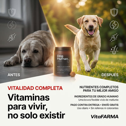 Dog Human Multivitamínico 5-en-1 Para perros que necesitan más años de vida saludable | Mejoras visibles en 3 semanas