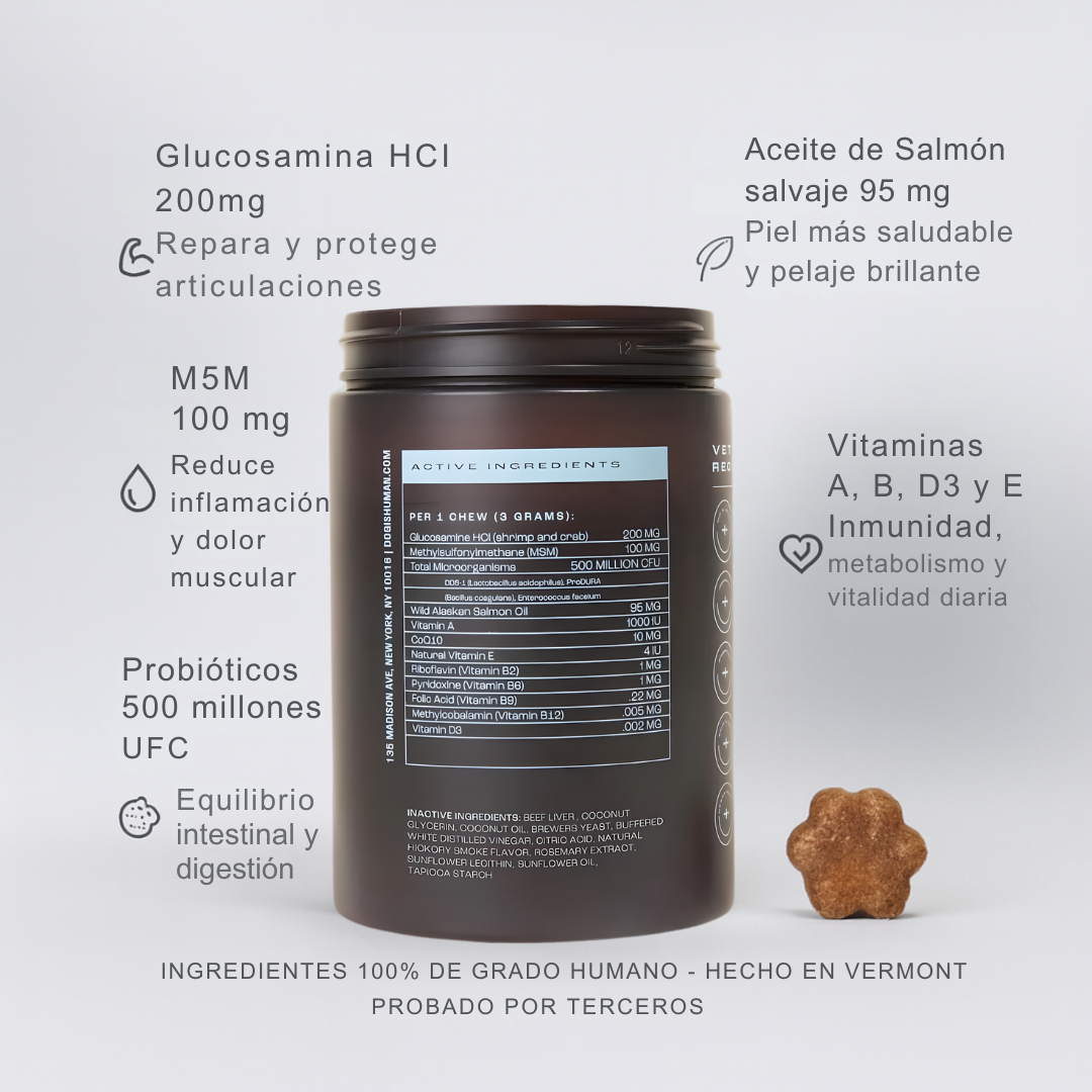 Dog Human Multivitamínico 5-en-1 Para perros que necesitan más años de vida saludable | Mejoras visibles en 3 semanas