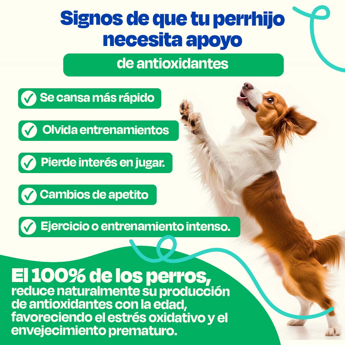Antioxidante para Perros - Antiox Blend - VitaFarma Guatemala