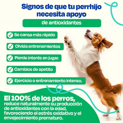 Antioxidante para Perros - Antiox Blend - VitaFarma Guatemala