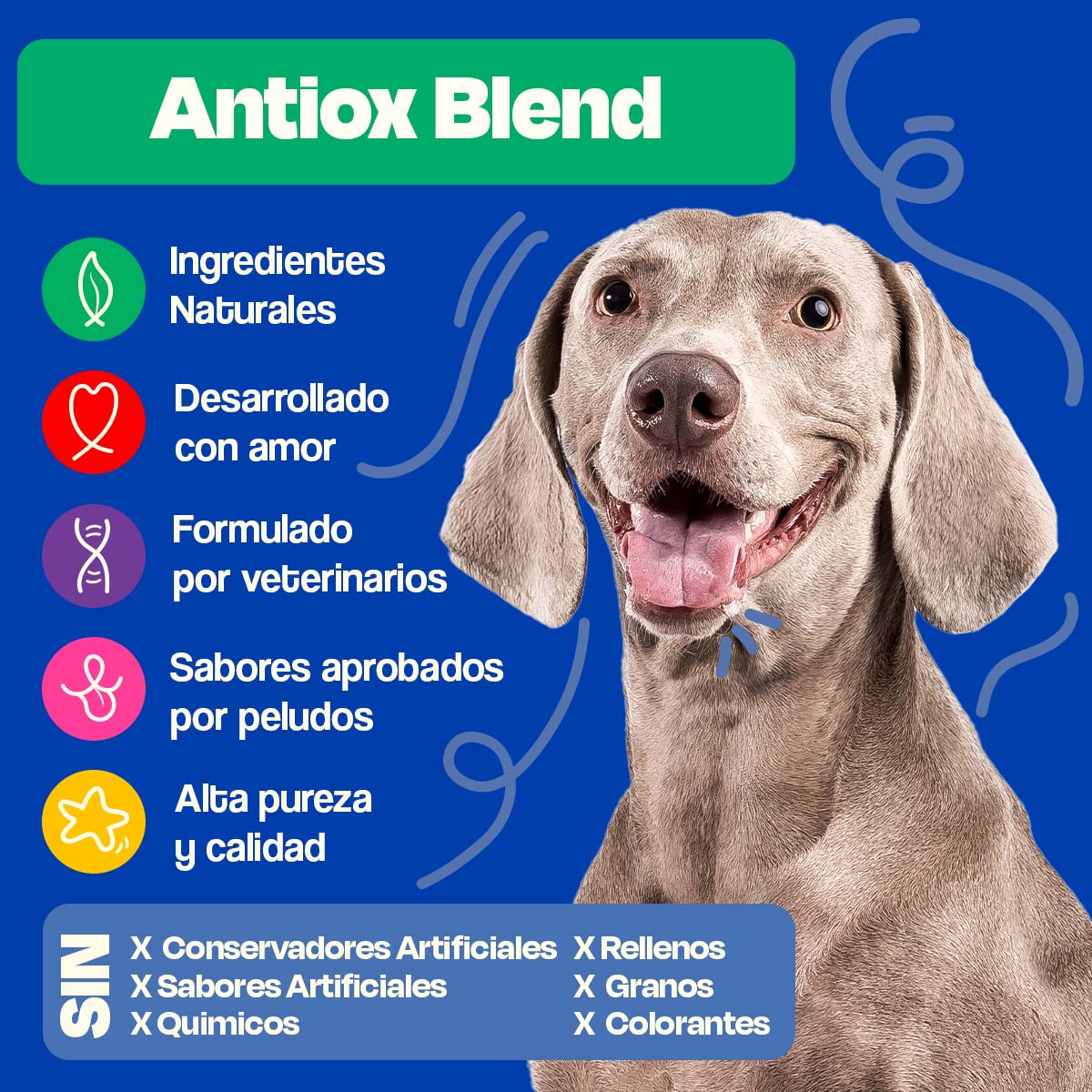 Antioxidante para Perros - Antiox Blend - VitaFarma Guatemala