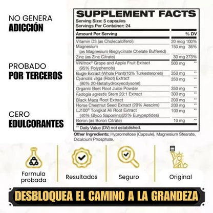 King Maker - Suplemento con Tongkat Ali, Turkesterona, Ecdisterona, Fadogia Agrestis, betarraga roja, maca negra y zinc (13 en 1) - VitaFarma Guatemala